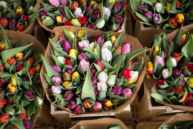 Festa dei Fiori a Bolzano 2019