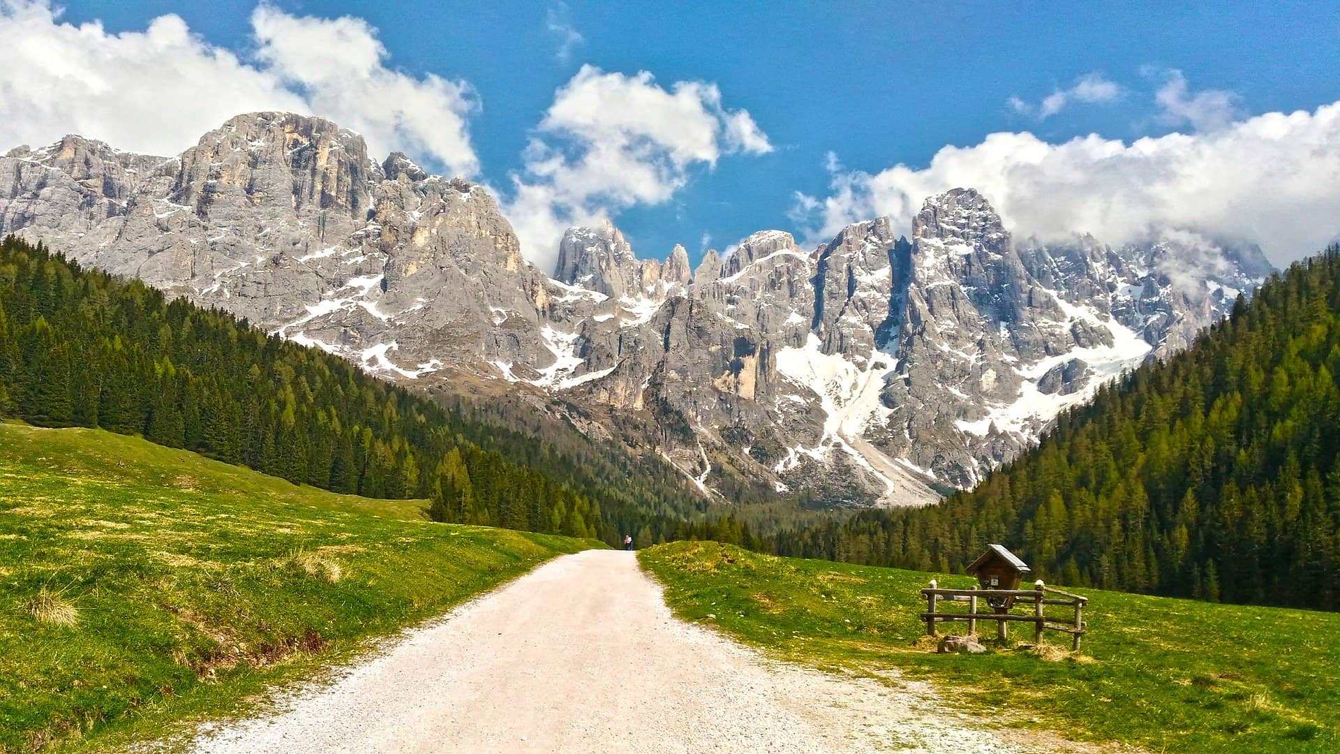 Val Venegia in estate